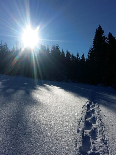 Snowshoerental_snowshoeprint_Eastern Styria | © Tourismusverband Oststeiermark