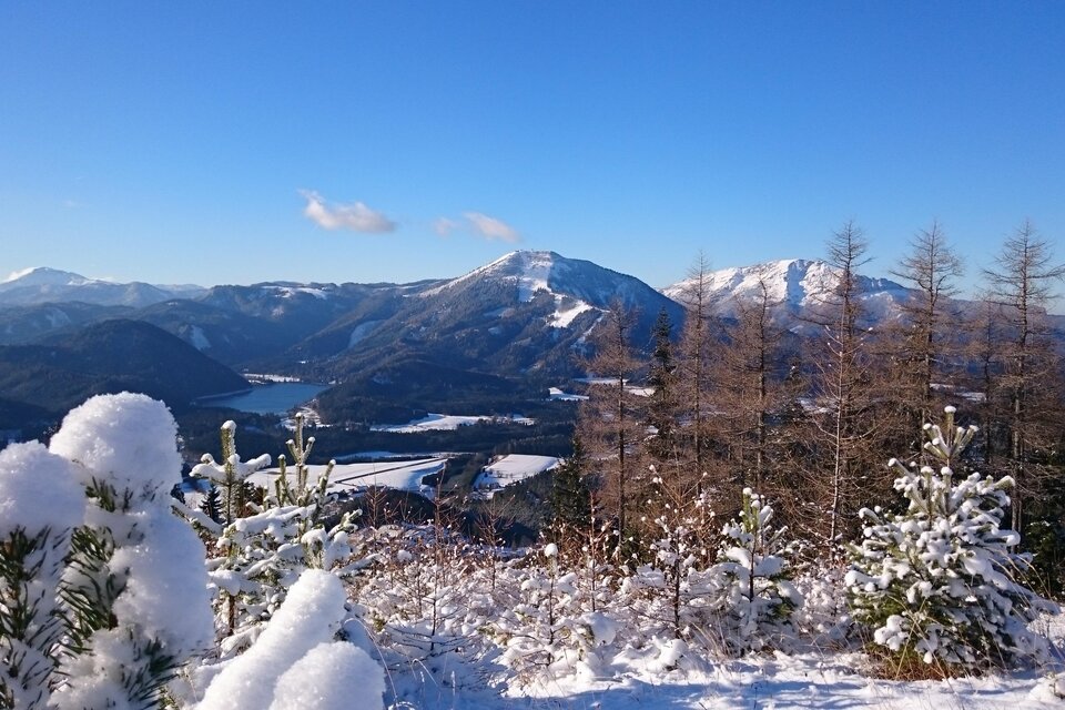 Schneeschuhwanderung auf die Mariazeller Bürgeralpe mit kulinarischem Genuss - Impression #1 | © TV Hochsteiermark | Brigitte Digruber