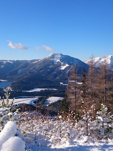 A snow-covered mountain landscape under a clear blue sky. In the foreground, there are snow-covered trees and hills. | © TV Hochsteiermark | Brigitte Digruber