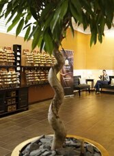 Felber chocolate_salesroom_Eastern Styria | © Felber Schokoladen | Bernhard Bergmann | © Felber Schokoladen