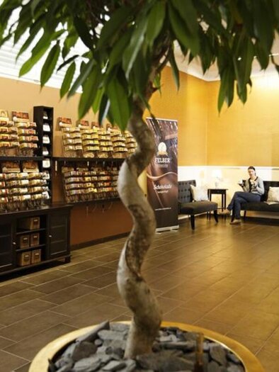 Felber chocolate_salesroom_Eastern Styria | © Felber Schokoladen