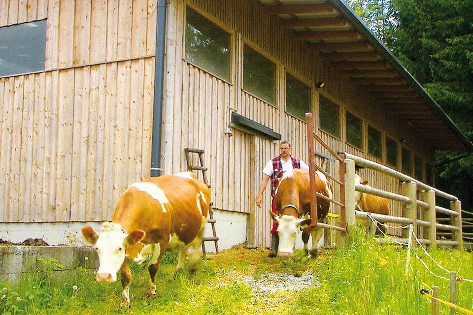 Dairy Farm Leitner - Impression #1 | © Sennerei Leitner