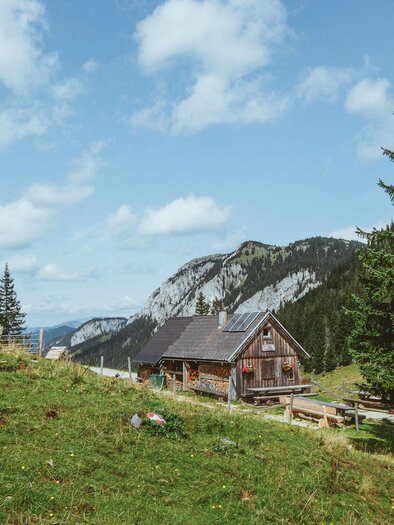 Die Ochsenbodenalm | © www.mariazell.blog