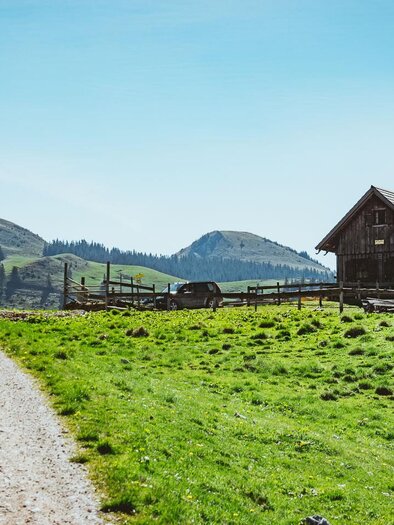 A picturesque landscape with a traditional farmhouse and gentle hills in the background. The path winds through the green grass under a clear blue sky. | © www.mariazell.blog / Fred Lindmoser