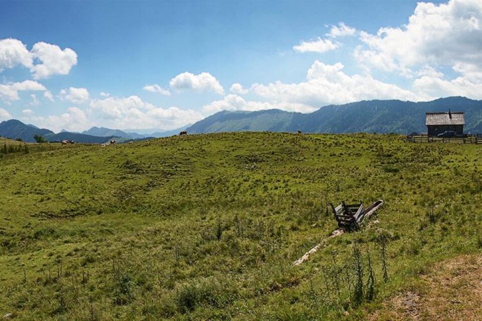 Sennhütte auf der Wildalm - Impression #1 | © lifepictures.at