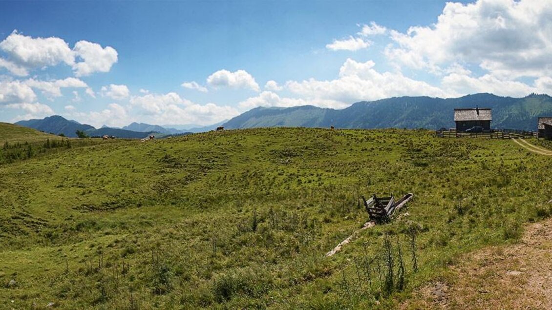 Wildam | © lifepictures.at