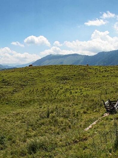 Wildam | © lifepictures.at