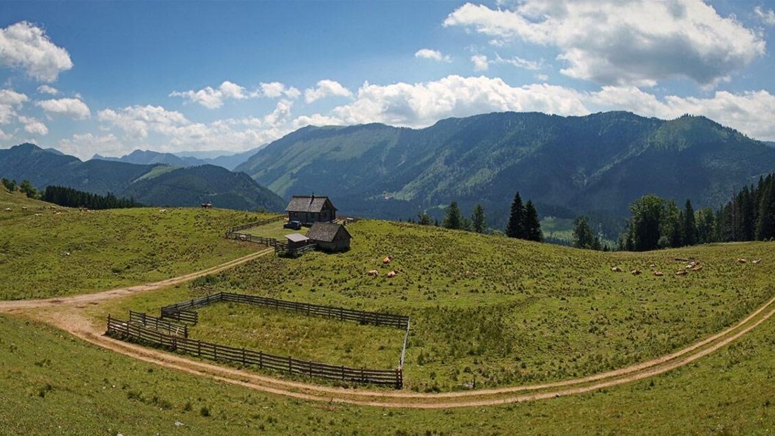 Sennhütte auf der Wildalm - Impressionen #2.1