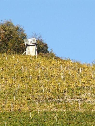 Warte mit Blick aus dem Weingarten | © Silberbergwarte