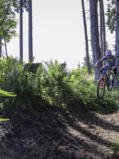 Brandwaldsteig-Singletrail1-Murtal-Steiermark | © Erlebnisregion Murtal