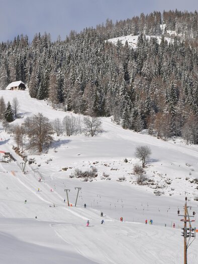 Eine winterliche Landschaft mit schneebedeckten Hügeln und Bäumen. Im Hintergrund sind Skifahrer auf einer Piste zu sehen. | © Tourismusverband Murau