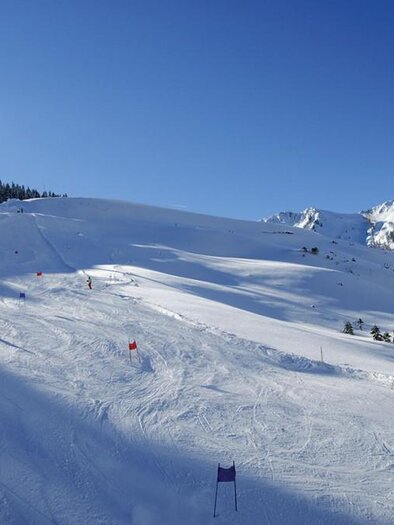 A snow-covered ski slope with several skiers. In the background, majestic mountains can be seen under a clear blue sky. | © Riesneralm Bergbahnen