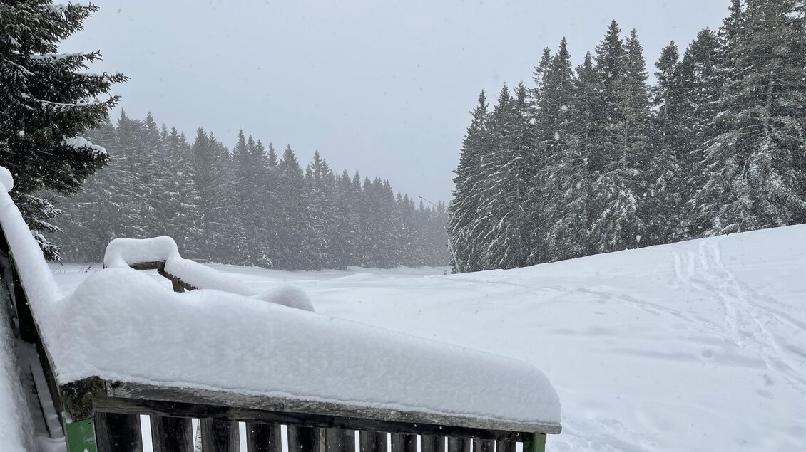 zu sehen ist ein Geländer im Tiefschnee und ein tiefverschneiter Wald. | © Oststeiermark Tourismus