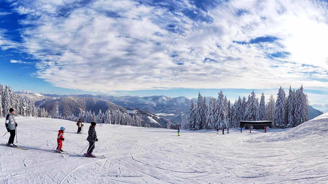Eine winterliche Landschaft mit schneebedeckten Bäumen und einem klaren Himmel. Zu sehen sind Skifahrer, die den Hang hinunterfahren. | © TV Hochsteiermark | Fred Lindmoser
