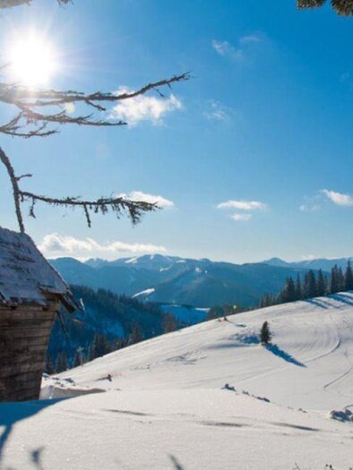 Geheimtipp Niederalpl_2
