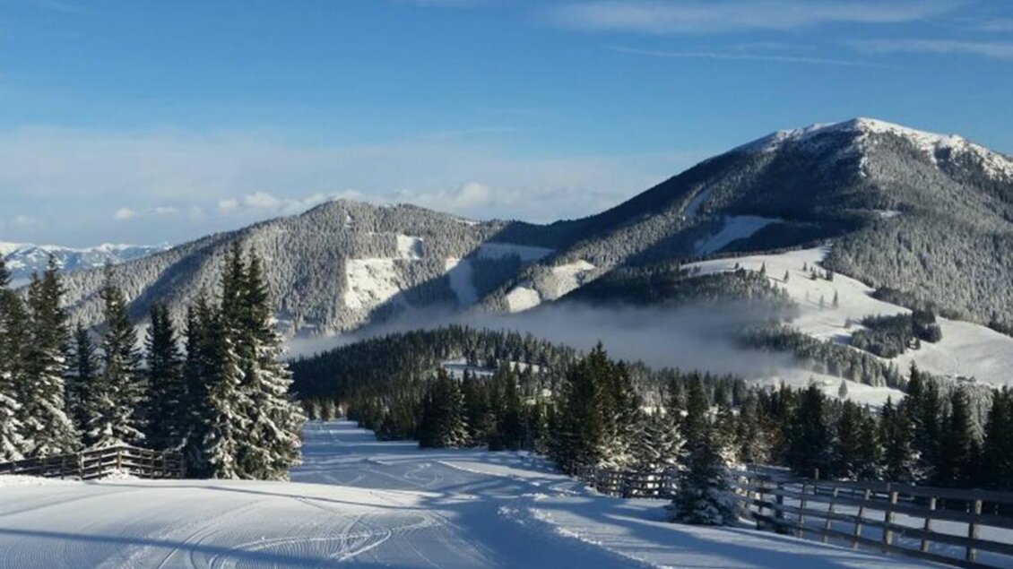 Eine schneebedeckte Landschaft mit Bergen und Nadelbäumen. Der Himmel ist klar und blau, und es liegt frischer Schnee auf den Wegen. | © Gasthof Moasterhaus
