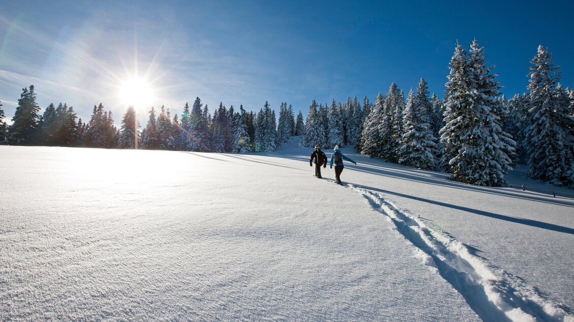 Zwei Personen wandern durch eine verschneite Landschaft unter einem klaren blauen Himmel. Die Sonne strahlt über die schneebedeckten Bäume. | © TV Region Graz - Tom Lamm