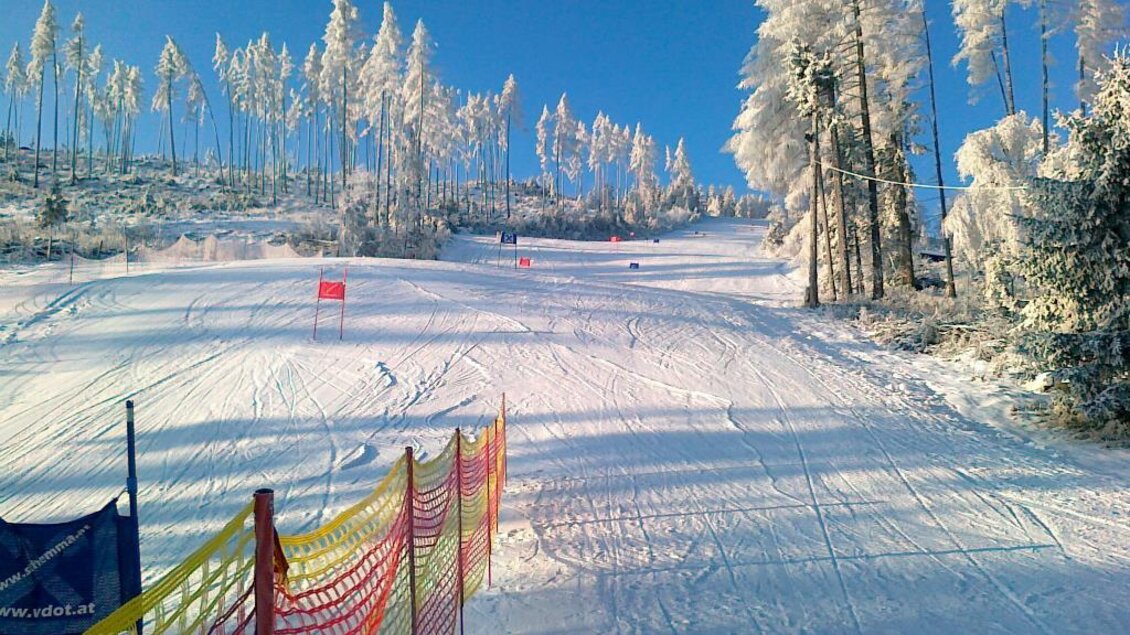 Eine verschneite Skipiste mit bunten Absperrungen. Hochstehende Bäume umgeben die Strecke unter einem klaren blauen Himmel. | © Rudolf Sabetz