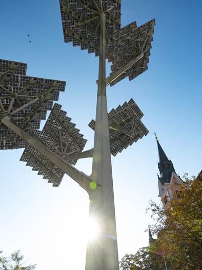 Solarbaum_Hauptplatz_Oststeiermark | © Stadtgemeinde Gleisdorf_Tourismusverband Oststeiermark