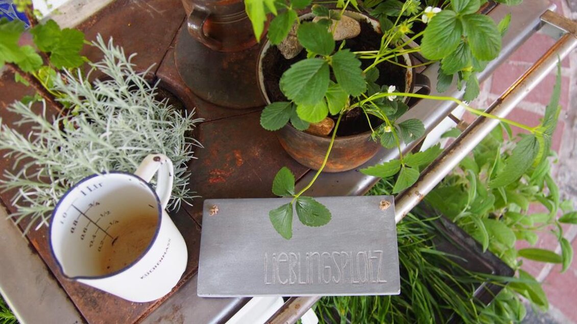 Ein Tisch mit frischen Kräutern und Pflanzen. Eine Tasse mit Tee steht neben einem Metallschild. | © Rogner Bad Blumau