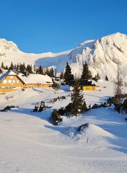 Sonnschien | © sonnschien