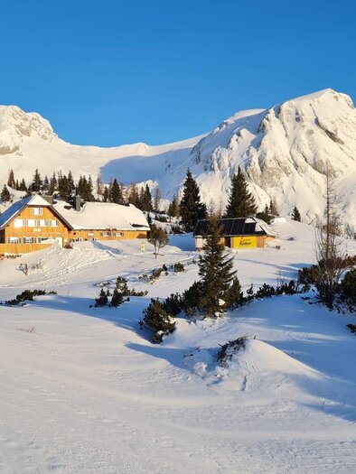 Sonnschien | © sonnschien