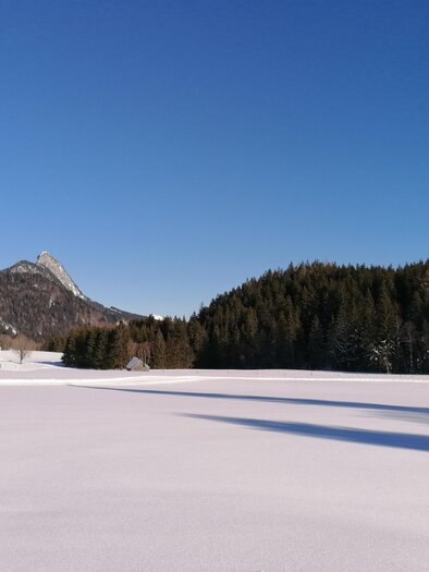 Spechtenseeloipe in traumhafter Naturkulisse | © Barbara Luidold/Erlebnisregion Schladming-Dachstein