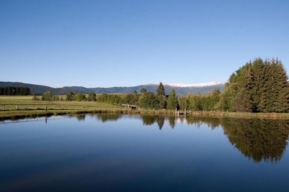 Sport fishing Peinhaupt - Impression #1 | © Sportfischerei Peinhaupt