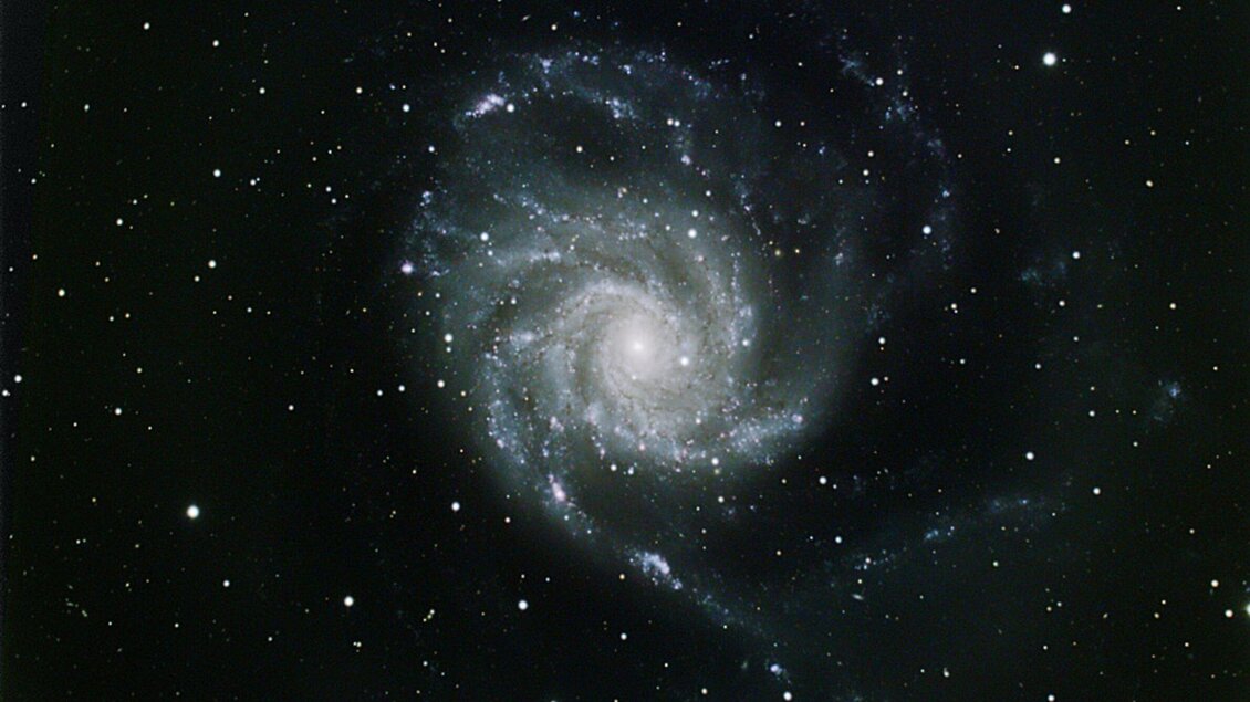 Eine Spiralgalaxie mit leuchtenden Sternen und einem hellen Kern. Der Hintergrund ist schwarz mit vielen kleinen Sternen. | © TV Region Graz - Michael Ruprechter