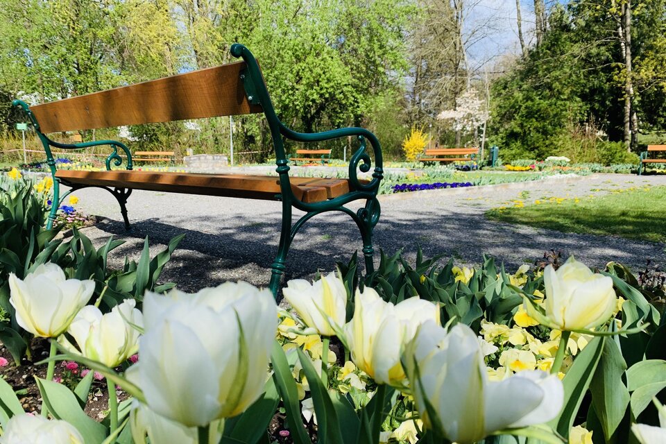 City Park Gleisdorf - Impression #1 | © Stadtgemeinde Gleisdorf_Tourismusverband Oststeiermark