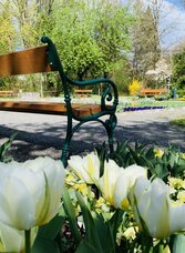 City Park_bench_Eastern Styria | © Stadtgemeinde Gleisdorf_Tourismusverband Oststeiermark | © Stadtgemeinde Gleisdorf_Tourismusverband Oststeiermark