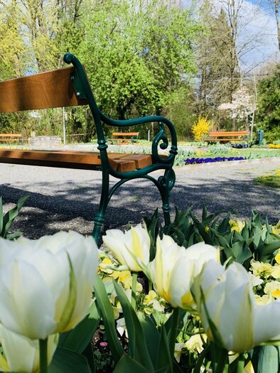 City Park_bench_Eastern Styria | © Stadtgemeinde Gleisdorf_Tourismusverband Oststeiermark