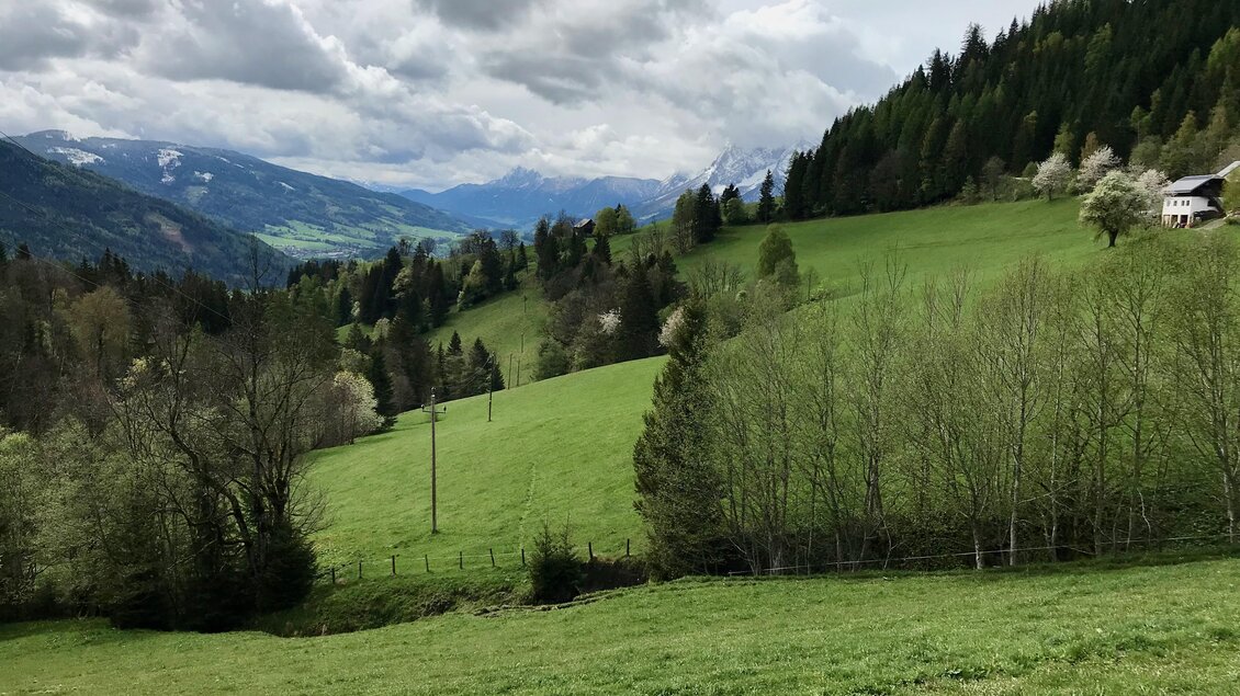 Eine grüne Landschaft mit sanften Hügeln und Bäumen. Im Hintergrund sind Berge und ein bewölkter Himmel zu sehen. | © Sabine Schulz