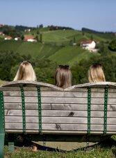 Steiermark Herzerlbank | © TV Südsteiermark | Tom Lamm | TV Südsteiermark | Tom Lamm | © TV Südsteiermark | Tom Lamm