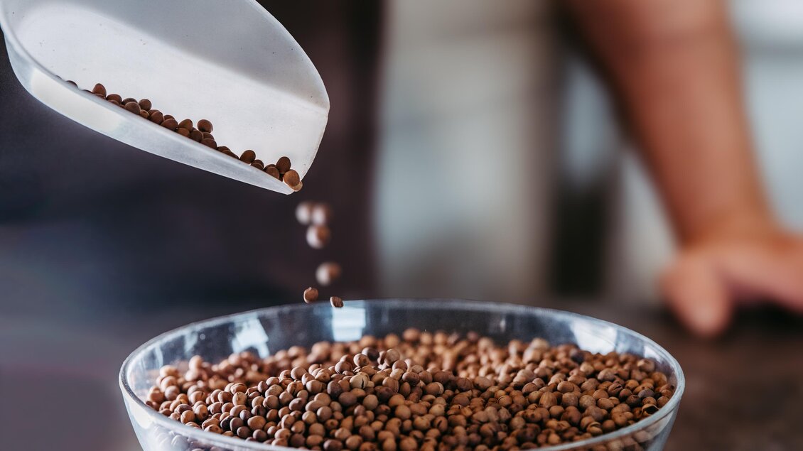 Ein Mensch gießt kleine Kügelchen aus einer Schaufel in eine Glas-Schüssel. Die Schüssel ist mit braunen Körnern gefüllt. | © Region Graz - Mias Photoart
