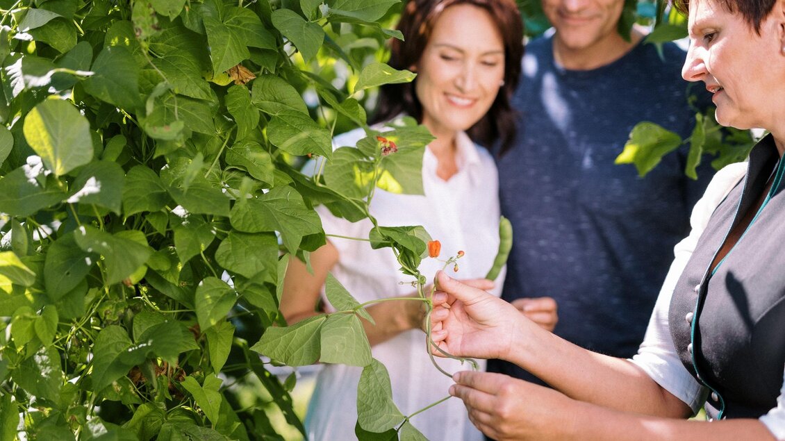 Eine Gruppe von Menschen schaut auf Pflanzen und ihr Wachstum. Sie scheinen interessiert und erfreut über die Ernte. | © Steirerkraft