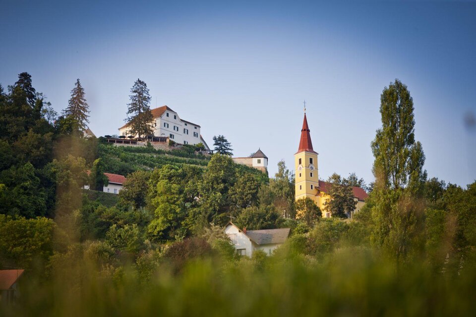 Styrian Terroir and Classic Wineries – STK for short - Impression #1 | ©  Thermen- & Vulkanland