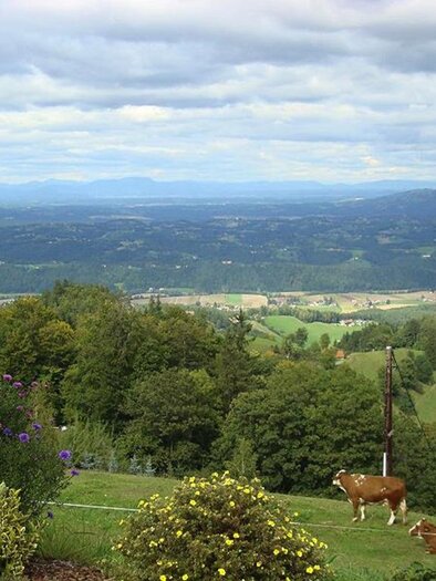 Panoramaschenke Tertinek Aussicht | © Panoramaschenke Tertinek