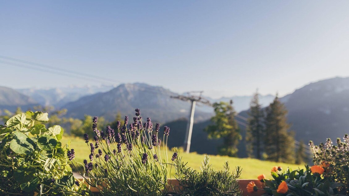 Eine schöne Aussicht auf die Berge mit Kräutern und bunten Blumen im Vordergrund. Der Himmel ist klar und die Natur wirkt friedlich. | © Krewenka