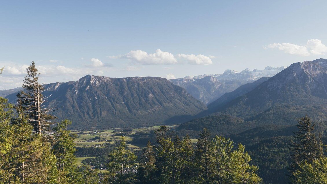 Eine malerische Berglandschaft mit grünen Wäldern und majestätischen Gipfeln. Der Himmel ist klar und die Berge erstrecken sich majestätisch im Hintergrund. | © Krewenka