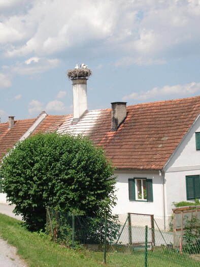 A white house with a red tile roof and green shutters. It stands in a rural setting, surrounded by trees and meadows. | © Kurkommission Bad Blumau