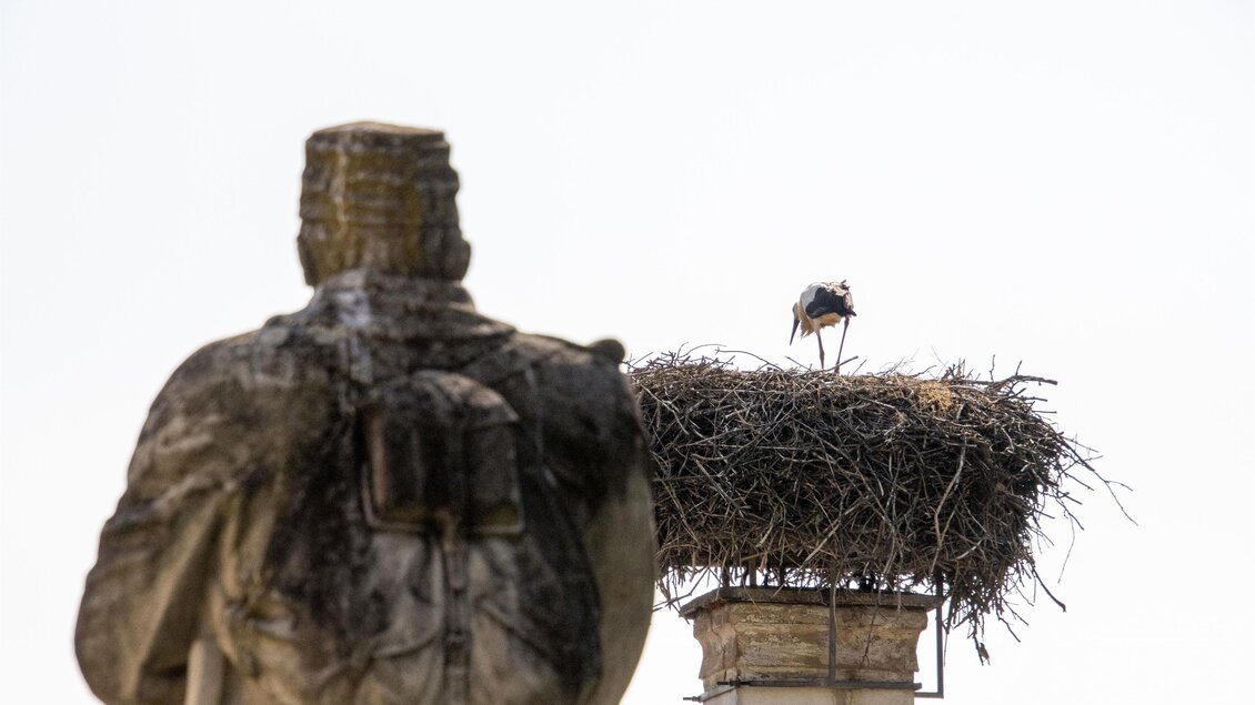 Ein Storch steht auf einem Nest auf einem Schornstein. Im Vordergrund ist eine Statue sichtbar. | © Kurkommission Bad Blumau