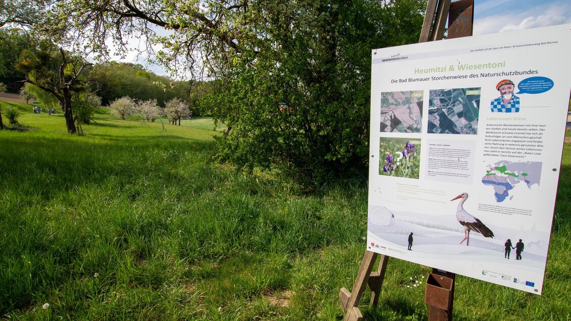 Ein Informationsschild steht in einer grünen Wiese. Im Hintergrund sind Bäume und blühende Pflanzen zu sehen. | © Kurkommission Bad Blumau