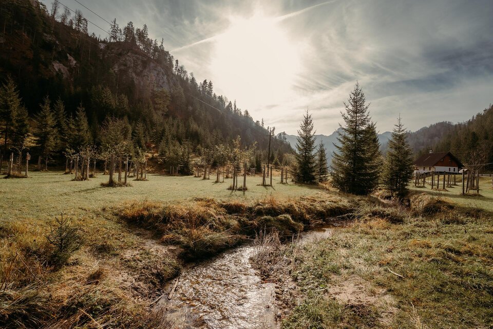 Streuobstgärten - Impression #1 | © Barbara Nachbagauer