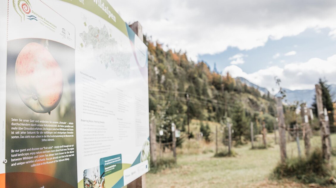 Ein Informationsschild in einer ländlichen Umgebung mit Bäumen und Wiesen im Hintergrund. Der Himmel ist bewölkt, und die Landschaft wirkt ruhig und naturverbunden. | © Thomas Sattler