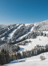 Panorama der Stubalmlifte | © TV Lipizzanerheimat | Die Abbilderei | © TV Lipizzanerheimat | Die Abbilderei