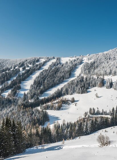Panorama der Stubalmlifte | © TV Lipizzanerheimat | Die Abbilderei