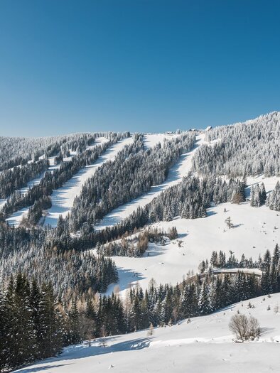 Winter panorama with slopes and snowy forests at Gaberl, ski area Stubalmlifte at Gaberl. | © TV Lipizzanerheimat | Die Abbilderei