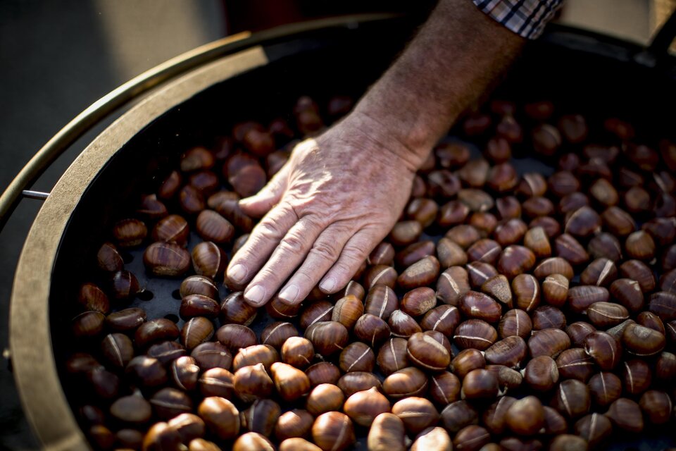 Sturm und Kastanienstände: Weingut Stelzl - Impression #1 | © Tom Lamm