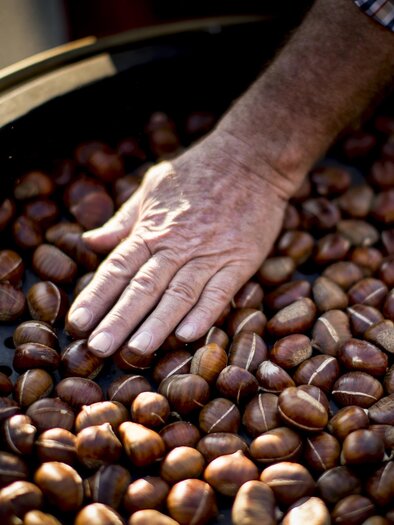 A hand is resting on a bowl of chestnuts. The chestnuts are freshly roasted and glow in the light. | © Tom Lamm